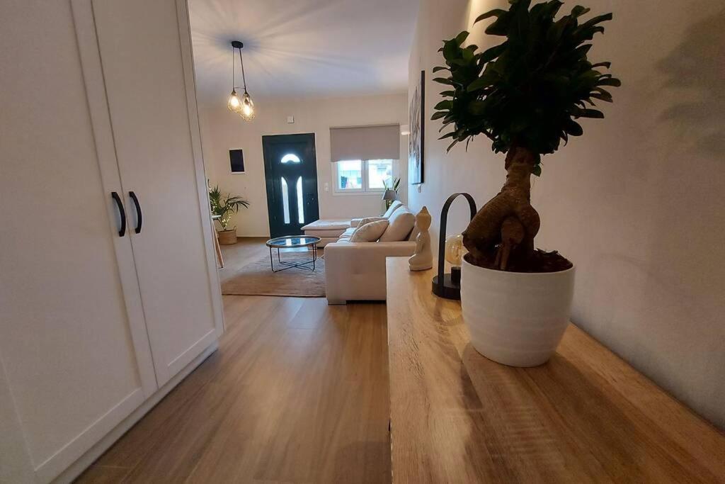Kentia Fine Living Apartment Kanálion 外观 照片